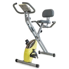 로베라 시크릿바이크 등받이형, K-3000R, 실버 + 레몬옐로우