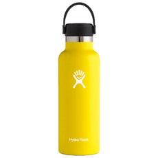 하이드로플라스크 스탠다드마우스 텀블러, 레몬, 532ml, 1개
