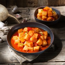 모산에프에스 진경 깍두기, 4.5kg, 1개