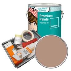 노루페인트 팬톤 내부용 저광 실내벽면페인트 세트, 16-1221 Roebuck, 4L, 1개