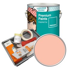 노루페인트 팬톤 내부용 실내벽면 무광페인트 4L 세트, 14-1219 Peach Parfait, 4000ml, 1개