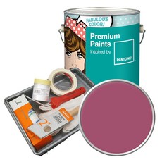 노루페인트 팬톤 내부용 실내벽면페인트 세트 무광 4L, 17-1723 Malaga, 4000ml, 1개