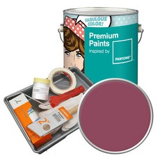 노루페인트 팬톤 내부용 실내벽면페인트 세트 무광 4L, 18-1725 Dry Rose, 4000ml, 1개