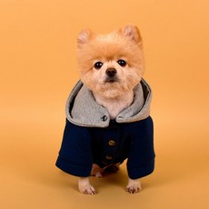 다솜 반려견용 네오프렌 코트, 블루, 1개