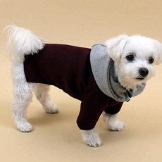 다솜 반려견용 네오프렌 코트, 자주, 1개