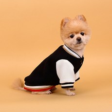 다솜 반려동물 스타일 야구점퍼, 블랙, 1개