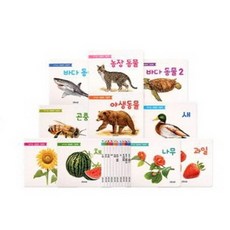 아기손 세밀화 그림책 세트, 그린키즈