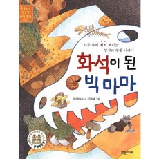 Balgeunmirae Publishing 成為化石的大媽媽：看透地球內部的岩石與礦物故事