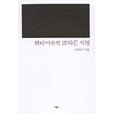 현대미술의 또다른 지평, 시공사, 강태희 저