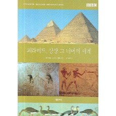 金字塔 超越想像的世界, 凱文·杰克森,喬納森·斯坦普 共著/鄭朱賢 譯, 泉水(泉水社)