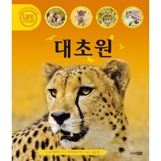 대초원, 주니어RHK