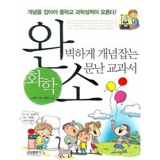 완벽하게 개념잡는 소문난 교과서 : 화학, 글담출판, 손영운 저/원혜진 그림