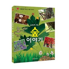 Samseongdang 教科書裡的森林故事：用心靈相遇的生態故事