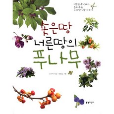 高地與廣野之樹：植物分類學家講述的我們身邊的植物故事, 知性社, 俞基億 著/洪廷允 繪