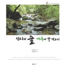 將雙腳浸入山寺的森林溪谷, 金在一 著, 知性社