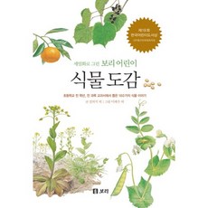 植物圖鑑：從國小全學年 全科目教科書中選出的160種植物故事, 大麥