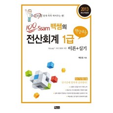 백쌤의 전산회계 1급 핵심내용(2013):KcLep 프로그램에 의한 이론 실기, 좋은땅