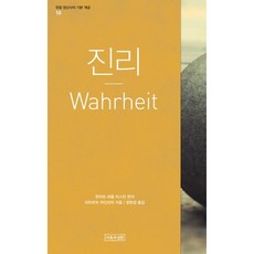 진리, 이론과실천, 리하르트 하인리히 저/정현경 역