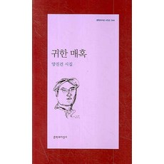 귀한 매혹, 문학과지성사, 양진건 저