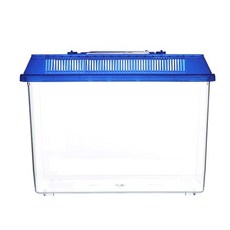 DAEIL 收藏家展台, 1個