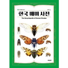 한국 매미 사전, 어린이생물도서관 8, 비글스쿨, 김선주