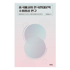 韓國現代文學在中國的接受樣貌研究, 亦樂, 金貞一