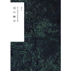 Homilbooks 白翎日誌 - 在白翎島的12天記錄, 盧基勳