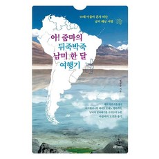 아! 줌마의 뒤죽박죽 남미 한 달 여행기:50대 아줌마 혼자 떠난 남미 배낭 여행, 엄금순, 북랩