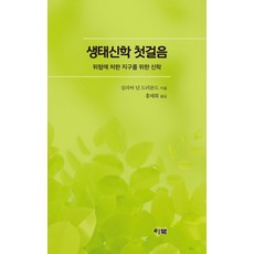 생태신학 첫걸음:위험에 처한 지구를 위한 신학, 리북, 실리아 딘 드러먼드