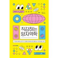 직감하는 양자역학:우주를 지배하는 궁극적 구조를 머릿속에 바로 떠올리는 색다른 물리 강의, 보누스, 마쓰우라 소