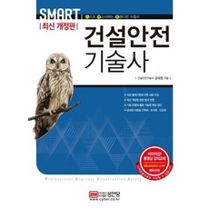 스마트 건설안전기술사 (최신), 성안당