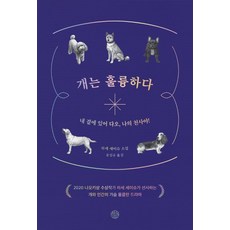 狗是偉大的, 心靈散步, 馳星周