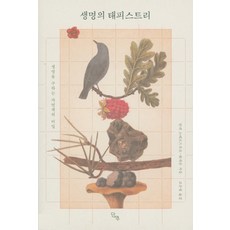 生命的織錦, 安妮.斯德魯普-蒂格森, 鈕扣