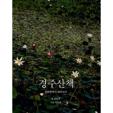 慶州散步, 目光, 金裕景