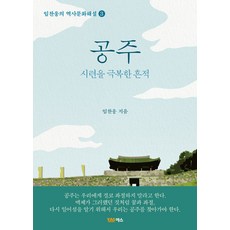 공주:시련을 극복한 흔적, 야스미디어, 임찬웅