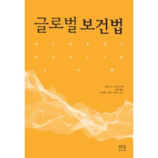 HanulAcademy 全球衛生法, 勞倫斯. O. 戈斯廷