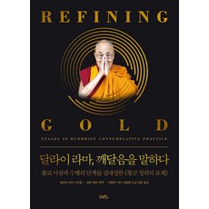 DHAM&BOOKS 達賴喇嘛談開悟 (精裝)