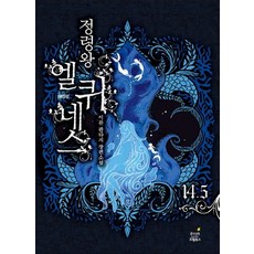 정령왕 엘퀴네스 개정판 14.5 - 각자의 삶은 이어진다, 드림북스, 이환