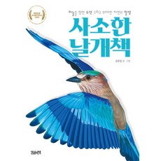 瑣碎的翅膀書：飛向天空的跳躍與大自然的偉大發明, 一本書