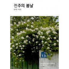 NoonbitPublishing 全州的春天, 金智妍