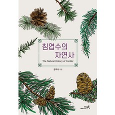 GEOBOOK 針葉樹的自然史, 孔友錫