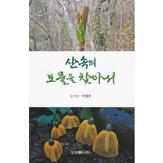 산 속의 보물을 찾아서, 운룡도서관, 이명우