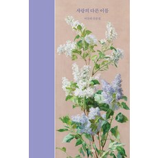 Achimdal 愛的另一個名字, 李圭悧