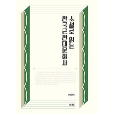 Youkrack 以小說閱讀韓國近現代文化史, 安美英