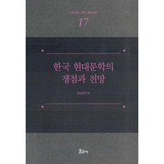 BOGOSA 韓國現代文學的爭議與展望 - 韓國語言.文學.文化叢書 17 (精裝), 趙康碩 等