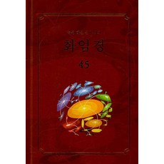 Moonzen 華嚴經 45