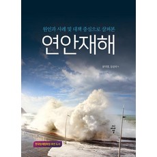 [CIR(씨아이알)]沿岸災害, CIR(씨아이알), 金成國