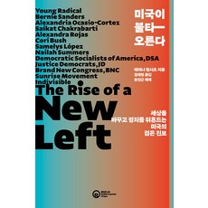RollerCoasterPress 美國正在燃燒 ： 改變世界並撼動政治的美國年輕進步派, 蕾娜·利普希茨