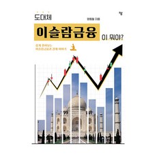 Haum Publishing 到底什麼是伊斯蘭金融?, 梁東哲