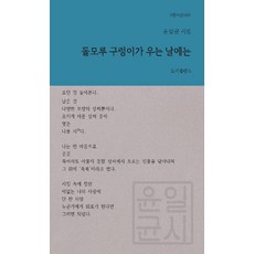 [비(도서출판b)]돌모루 구렁이가 우는 날에는 - b판시선 29, 비(도서출판b), 윤일균